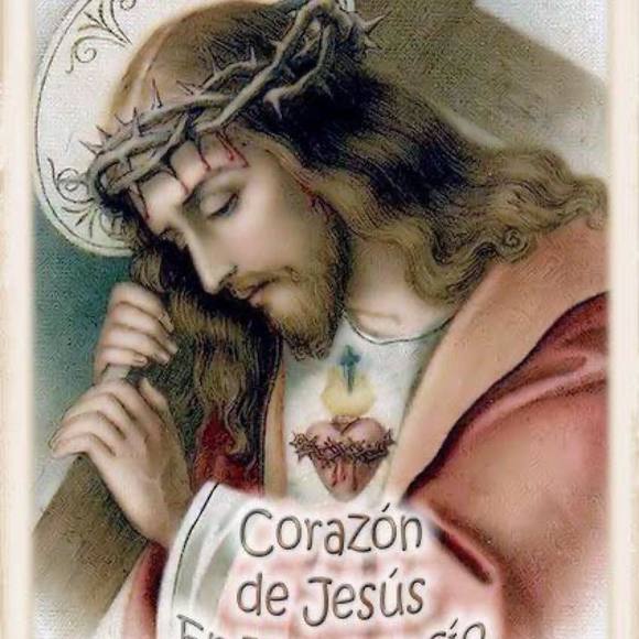 Meet your Posher, Ana - Picture 1 of 1